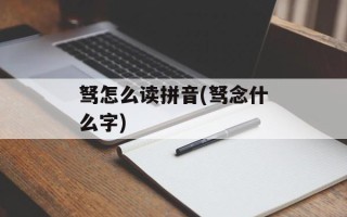 驽怎么读拼音(驽念什么字)