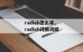 radish怎么读，radish词根词缀