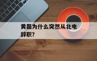 黄磊为什么突然从北电辞职？
