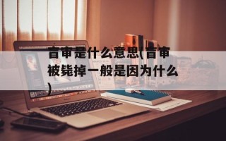 盲审是什么意思(盲审被毙掉一般是因为什么)