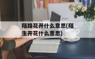 陌路花开什么意思(陌生开花什么意思)
