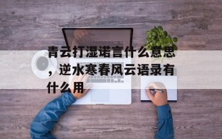青云打湿诺言什么意思，逆水寒春风云语录有什么用