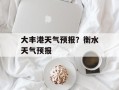 大丰港天气预报？衡水天气预报