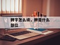 髀字怎么读，髀是什么部位