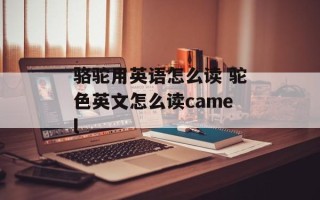 骆驼用英语怎么读 驼色英文怎么读camel