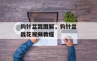钩针盆栽图解，钩针盆栽花视频教程
