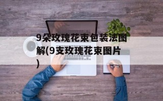 9朵玫瑰花束包装法图解(9支玫瑰花束图片)