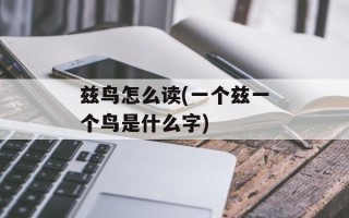 兹鸟怎么读(一个兹一个鸟是什么字)