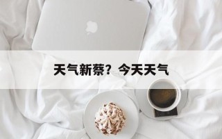 天气新蔡？今天天气