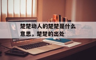 楚楚动人的楚楚是什么意思，楚楚的出处