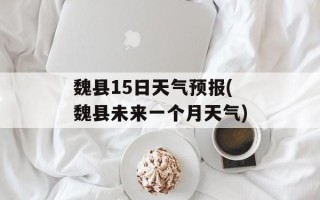 魏县15日天气预报(魏县未来一个月天气)
