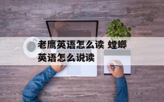 老鹰英语怎么读 螳螂英语怎么说读