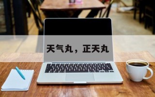 天气丸，正天丸