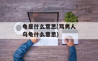 龟是什么意思(骂男人乌龟什么意思)