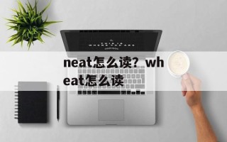 neat怎么读？wheat怎么读