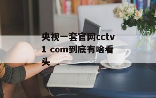 央视一套官网cctv1 com到底有啥看头