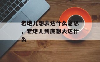 老炮儿想表达什么意思，老炮儿到底想表达什么