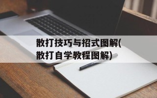 散打技巧与招式图解(散打自学教程图解)