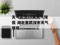 天气武汉15天天气预报 湖北省武汉市天气预报