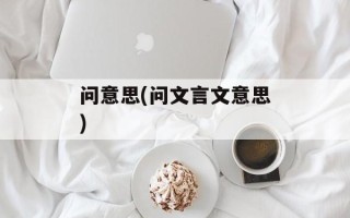 问意思(问文言文意思)