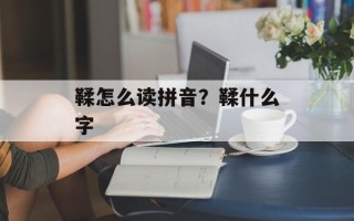 鞣怎么读拼音？鞣什么字