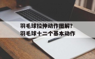羽毛球拉伸动作图解？羽毛球十二个基本动作