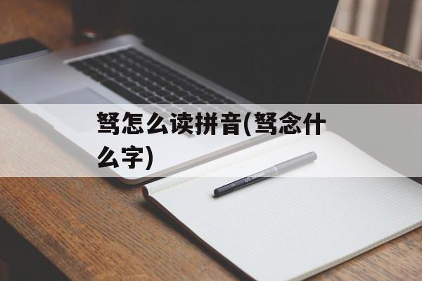 驽怎么读拼音(驽念什么字)-第1张图片-