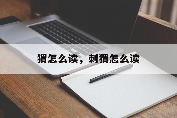 猬怎么读，刺猬怎么读-第1张图片-