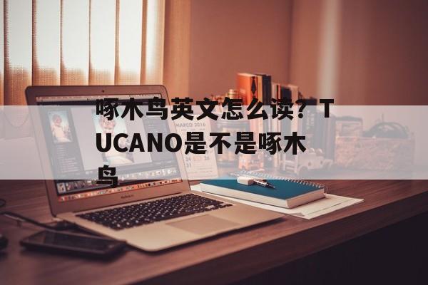 啄木鸟英文怎么读？TUCANO是不是啄木鸟-第1张图片-