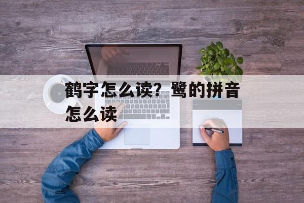 鹤字怎么读？鹭的拼音怎么读-第1张图片-