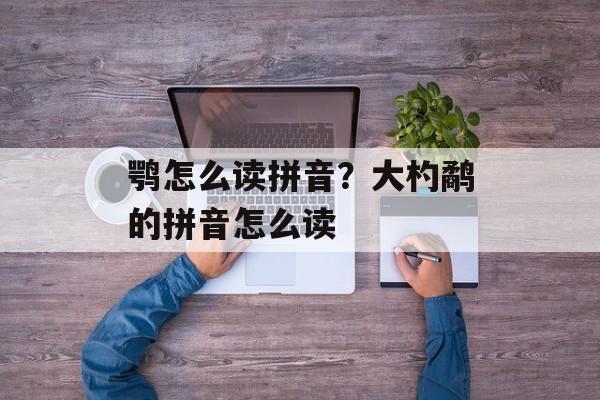 鹗怎么读拼音？大杓鹬的拼音怎么读-第1张图片-