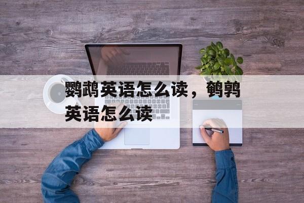 鹦鹉英语怎么读，鹌鹑英语怎么读-第1张图片-