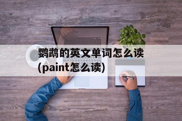 鹦鹉的英文单词怎么读(paint怎么读)-第1张图片-