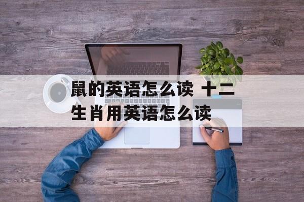 鼠的英语怎么读 十二生肖用英语怎么读-第1张图片-