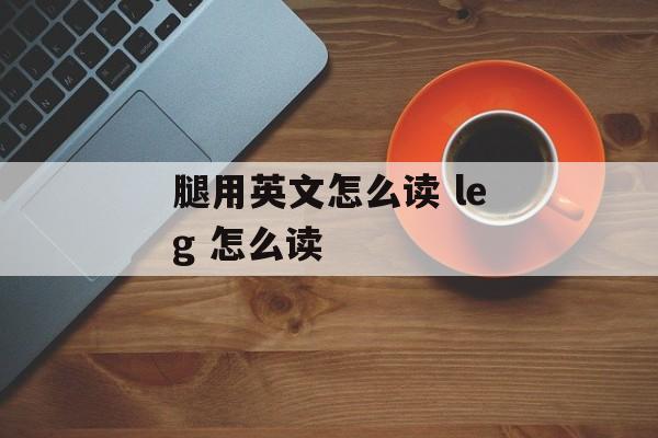 腿用英文怎么读 leg 怎么读-第1张图片-