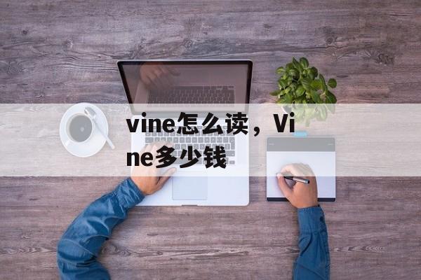 vine怎么读，Vine多少钱-第1张图片-