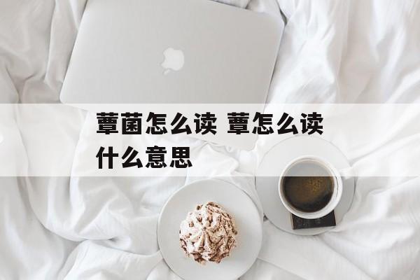 蕈菌怎么读 蕈怎么读什么意思-第1张图片-