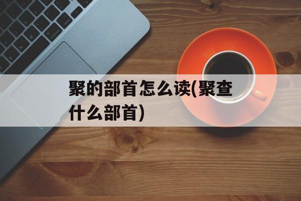 聚的部首怎么读(聚查什么部首)-第1张图片-