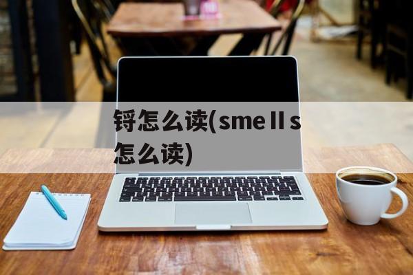 锊怎么读(smeⅡs怎么读)-第1张图片-
