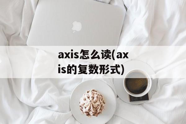 axis怎么读(axis的复数形式)-第1张图片-