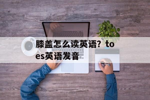 膝盖怎么读英语？toes英语发音-第1张图片-