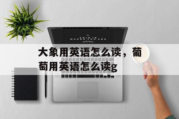 大象用英语怎么读，葡萄用英语怎么读g-第1张图片-