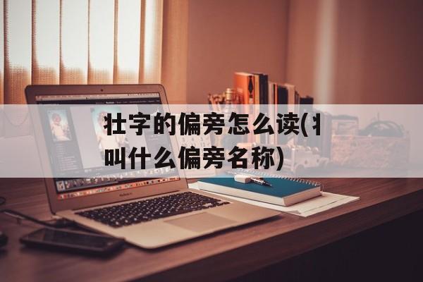 壮字的偏旁怎么读(丬叫什么偏旁名称)-第1张图片-