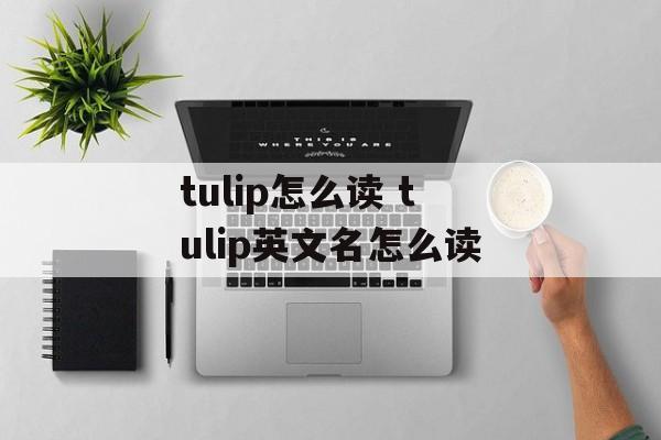 tulip怎么读 tulip英文名怎么读-第1张图片-