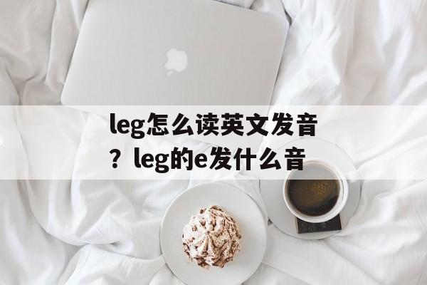 leg怎么读英文发音？leg的e发什么音-第1张图片-