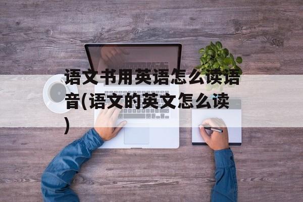 语文书用英语怎么读语音(语文的英文怎么读)-第1张图片-
