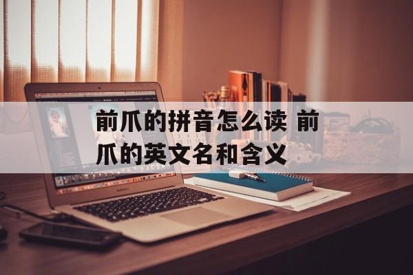 前爪的拼音怎么读 前爪的英文名和含义-第1张图片-