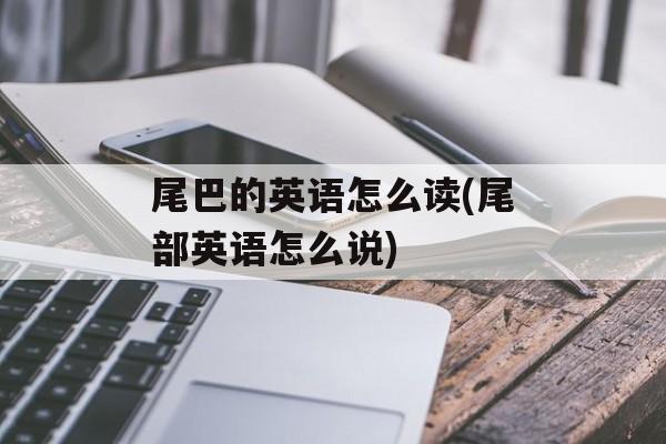 尾巴的英语怎么读(尾部英语怎么说)-第1张图片-