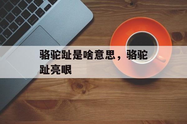 骆驼趾是啥意思，骆驼趾亮眼-第1张图片-