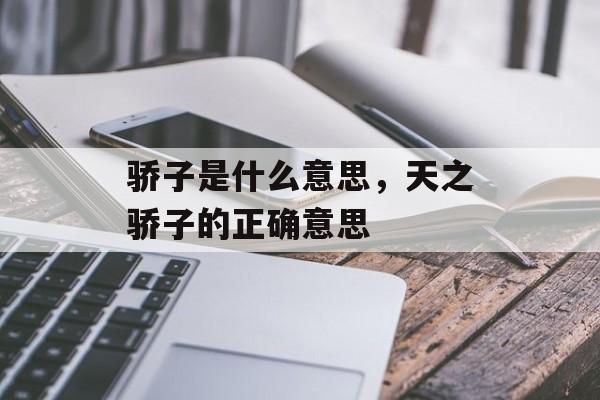 骄子是什么意思，天之骄子的正确意思-第1张图片-